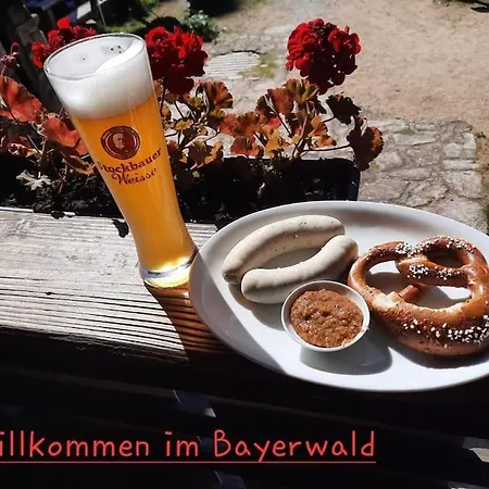 Musik Und - Balboo - Bayrischer Wald - Sauna - Pool - Grillen Apartament Spiegelau