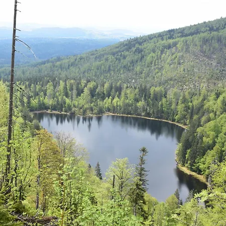 Musik Und - Balboo - Bayrischer Wald - Sauna - Pool - Grillen Spiegelau